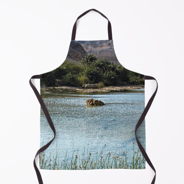 Item preview, Lake Desert Oasis Palm Trees Landscape, Oman designed and sold by worldways.
