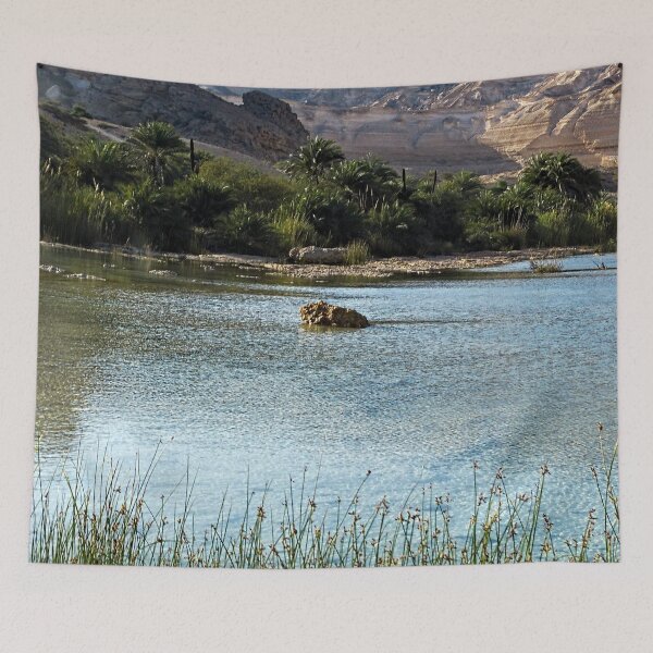 Item preview, Lake Desert Oasis Palm Trees Landscape, Oman designed and sold by worldways.