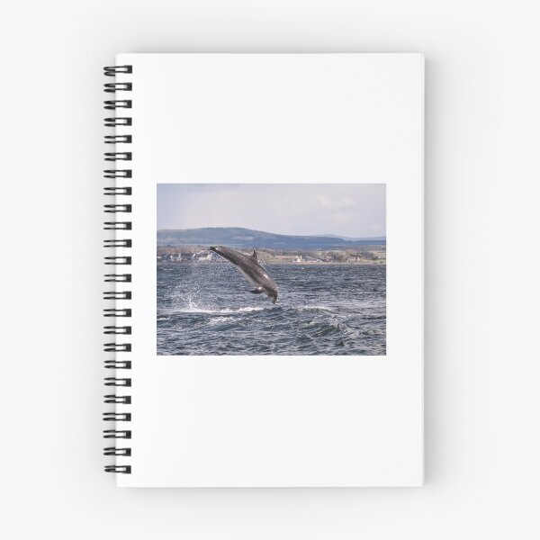 Item preview, Dolphin breaching designed and sold by chanonry.