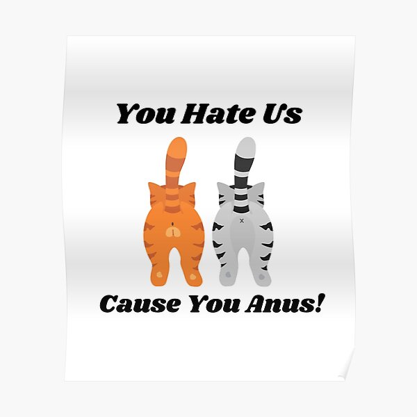 You Hate Us Cause You Anus Kitty Cat Butt Poster