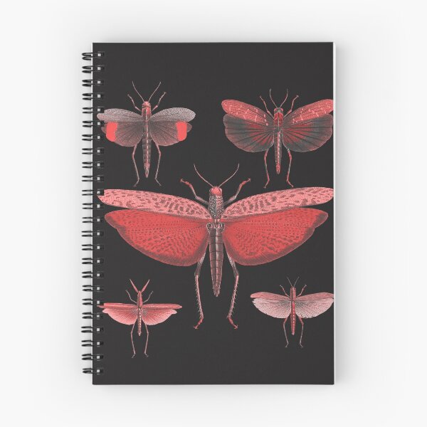 Item preview, metamorphosis designed and sold by guaxinim.