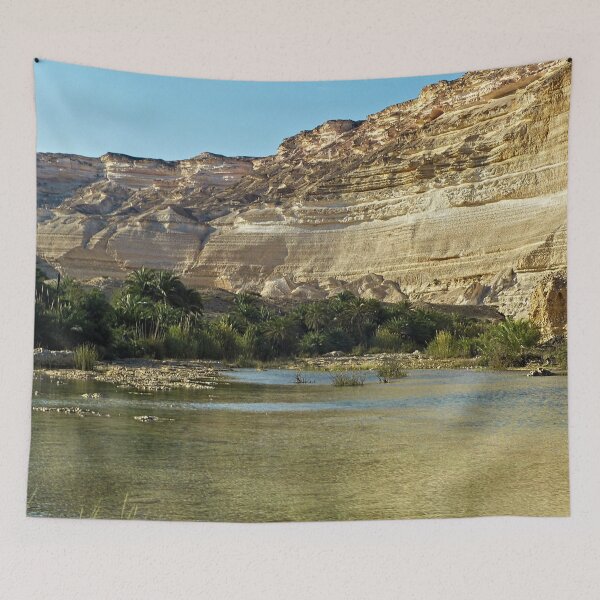 Item preview, Desert Oasis Palm Trees Rockface Landscape, Oman designed and sold by worldways.