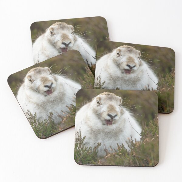 Item preview, Copy of white wild rabbit designed and sold by chanonry.