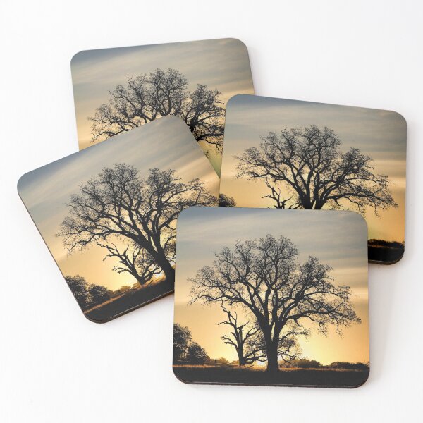 Item preview, Oak Trees in Southwestern Sunrise designed and sold by Stephanie Laird.