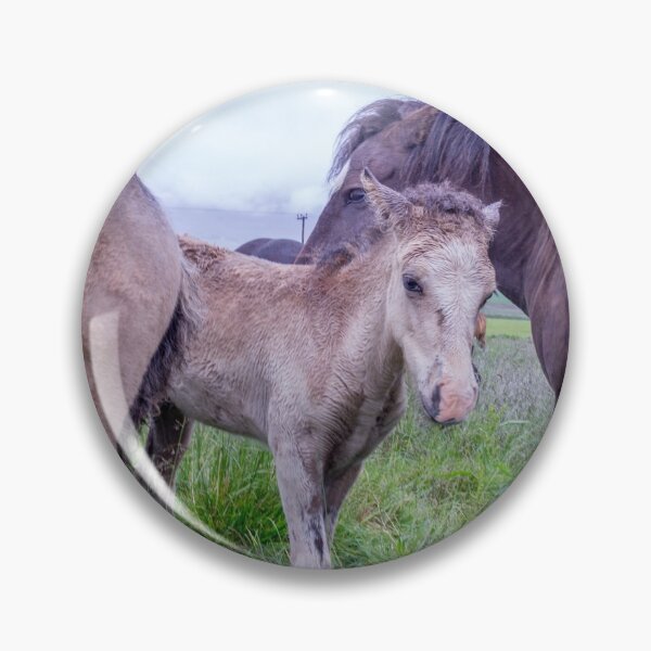 Item preview, Icelandic horses are the cutest designed and sold by alokojha.