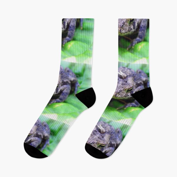 Item preview, Toads, Nature Lover Gifts Photography Art Design Funny Toad designed and sold by tamdevo1.