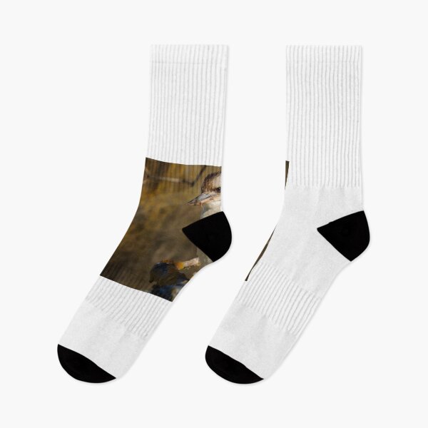 Item preview, The Kookaburra  designed and sold by D-GaP.