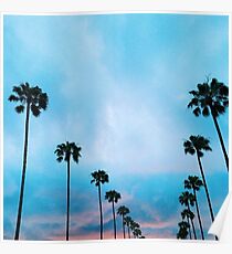 palm tree Poster