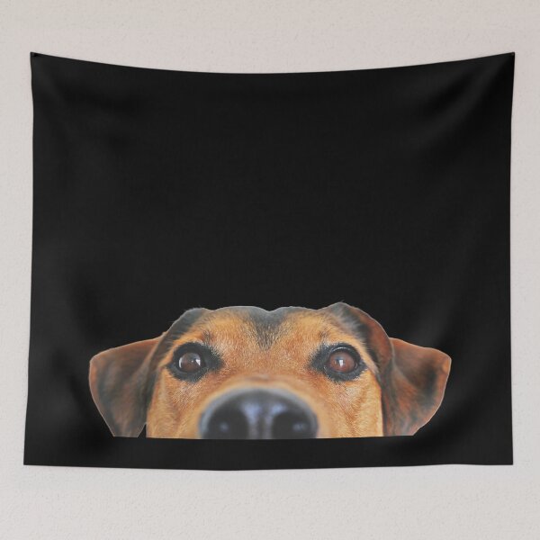 Item preview, nosy doggo designed and sold by casual bros.