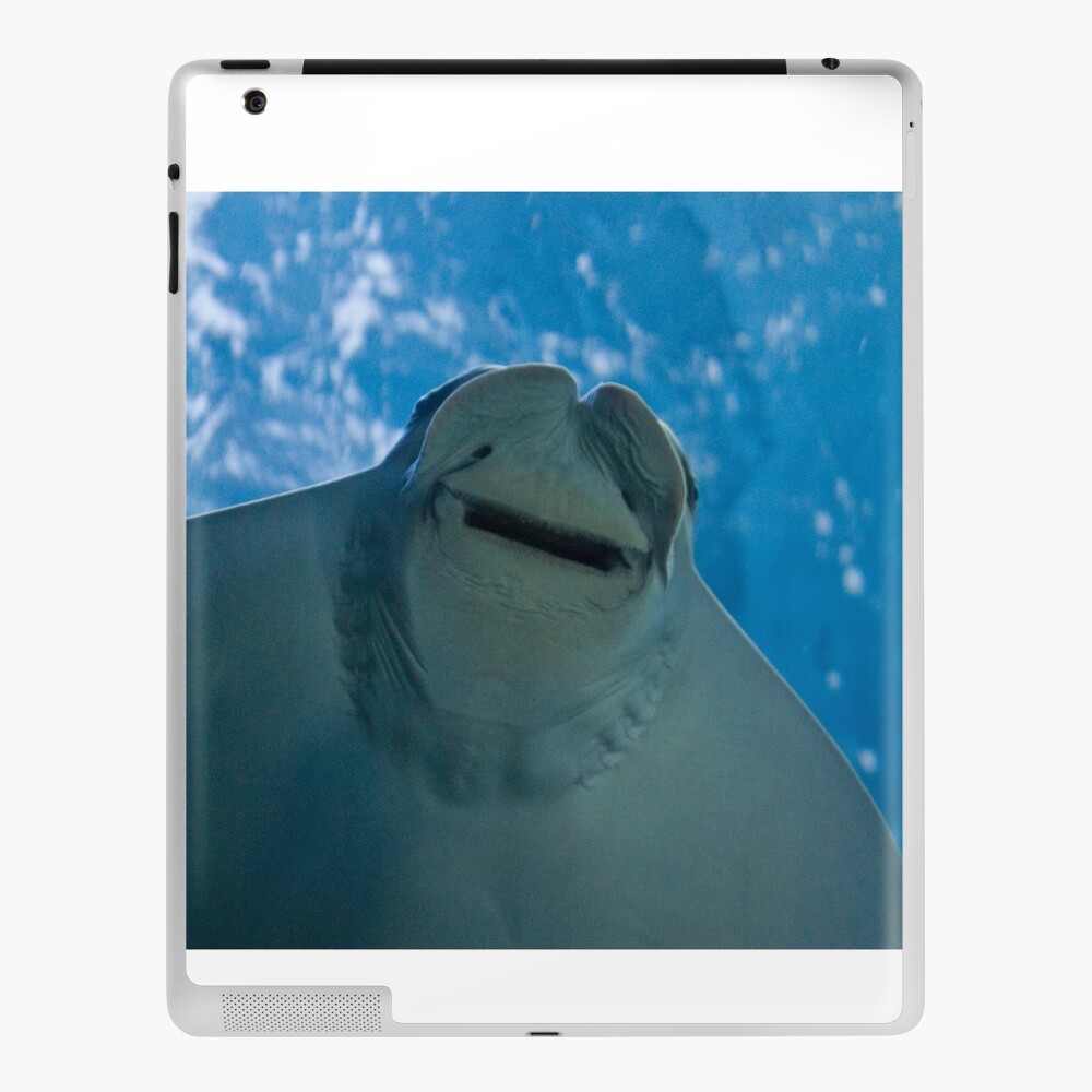 Stingray Laptop Sleeve Ocean Sea Animal tablet case