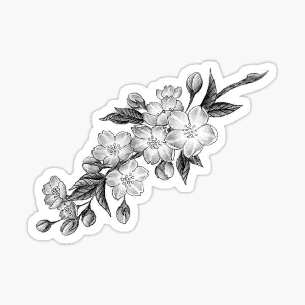 Bleistiftzeichnung Blume Geschenke Merchandise Redbubble