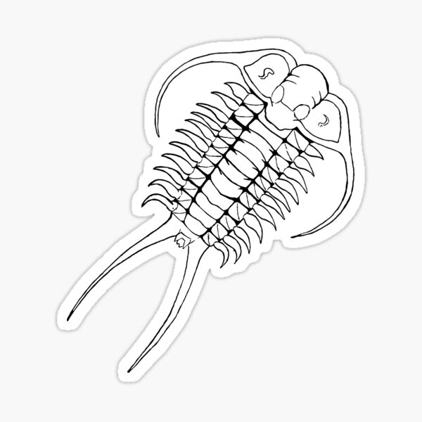 Item preview, Trilobite designed and sold by BejjisBazaar.