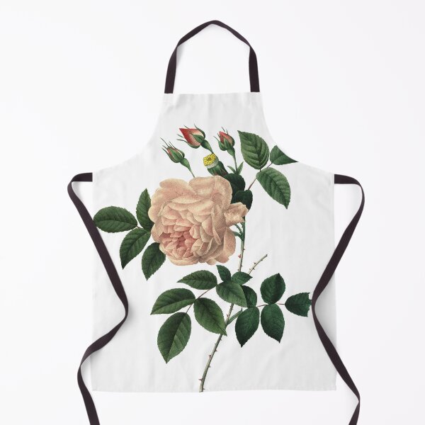 Item preview, Rosa Indica or Cyme Rose by P.J. Redoute. Beautiful Vintage White Rose Illustration designed and sold by HumanlineImages.
