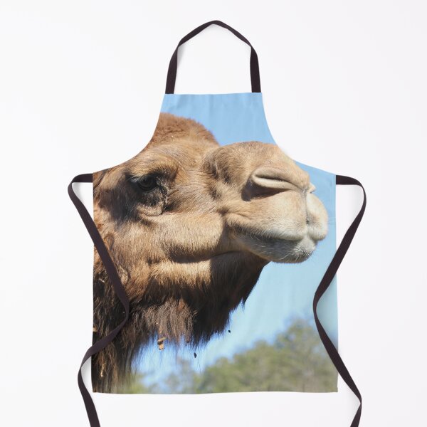 Item preview, Call Me Camel designed and sold by Autumn Seas Photography.