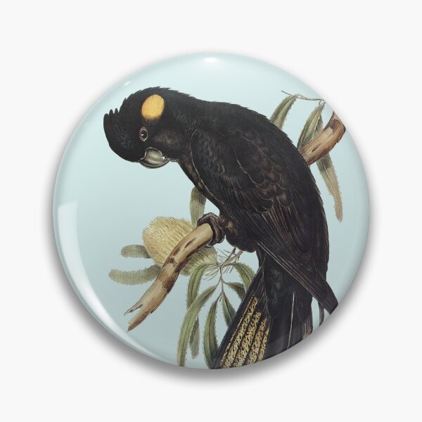 Item preview, Yellow-tailed Black Cockatoo (Calyptorhynchus funereus) designed and sold by Flamin' Galah.