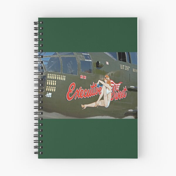 Item preview, B 25J Nose Art designed and sold by Buckwhite.