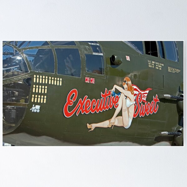 B 25J Nose Art 