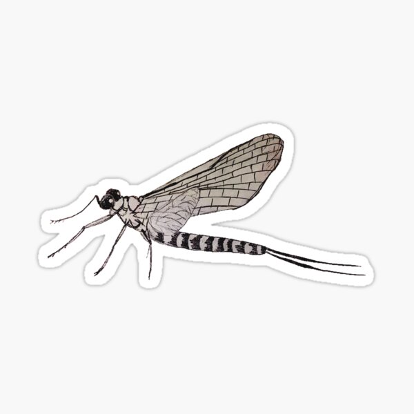 mayfly Sticker