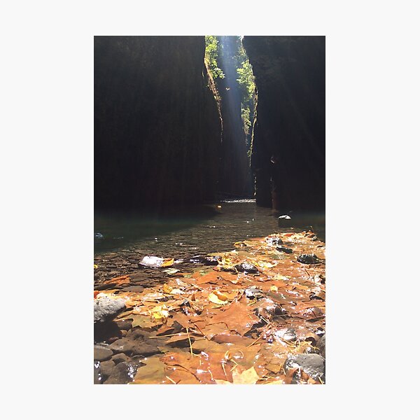 Item preview, Oneonta Gorge Oregon designed and sold by audreywalker.