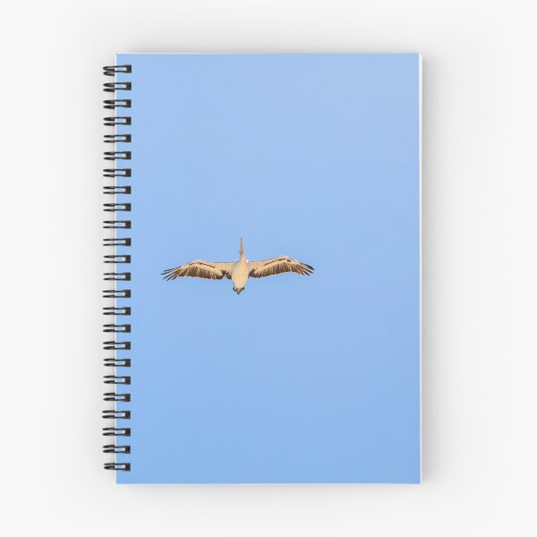 Item preview, pelican in the sky designed and sold by justine Gordon.