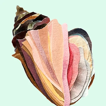 Artwork thumbnail, Pretty Pink Shell by SarahSnippets