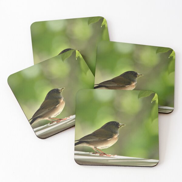 Item preview, Bird with Pray Close Up Photography designed and sold by naturematters.
