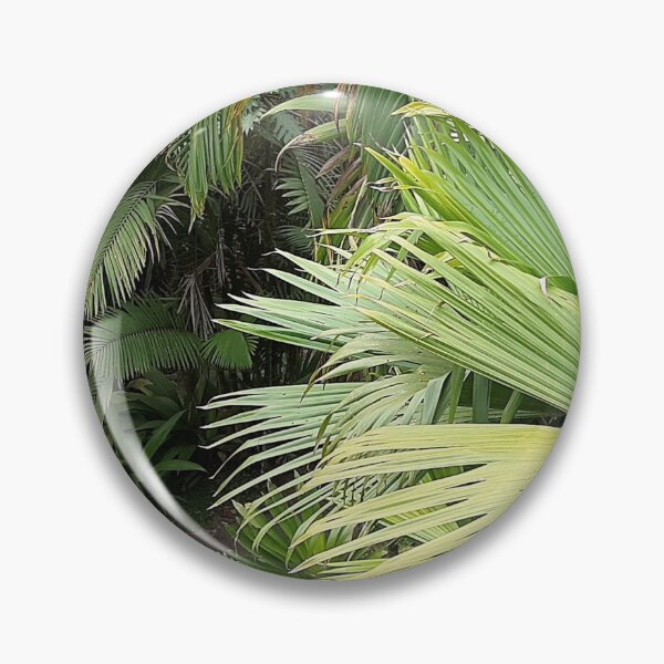 Item preview, Plant Photo designed and sold by Jose234.