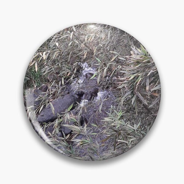 Item preview, Plant Photo designed and sold by Jose234.