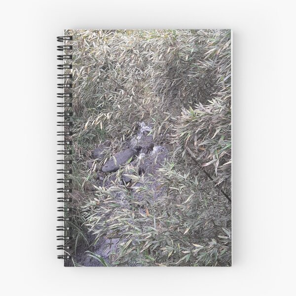 Item preview, Plant Photo designed and sold by Jose234.