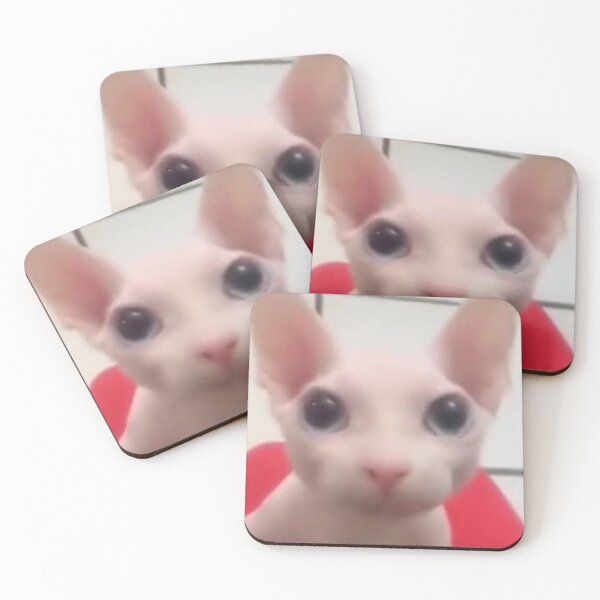 Cat Meme Coaster Funny Striped Cat Coaster Surprised Kitty 