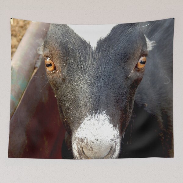 Item preview, funny black goat face designed and sold by Stephanie  Skeem.