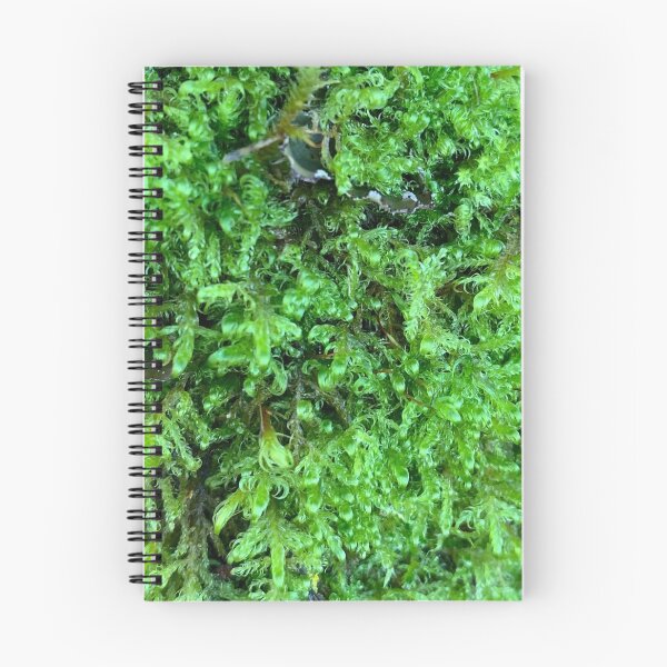 Item preview, Wooly Moss Pattern designed and sold by EdenLiving.