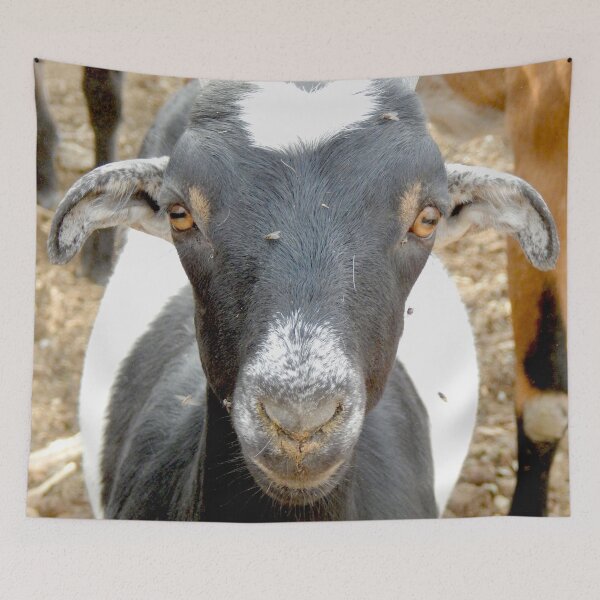 Item preview, cute black goat face designed and sold by Stephanie  Skeem.