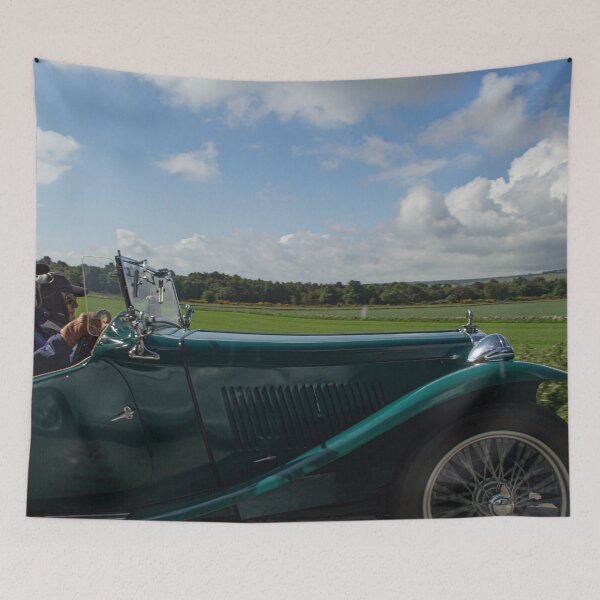 Item preview, Sunday Drive designed and sold by Marylou Badeaux.