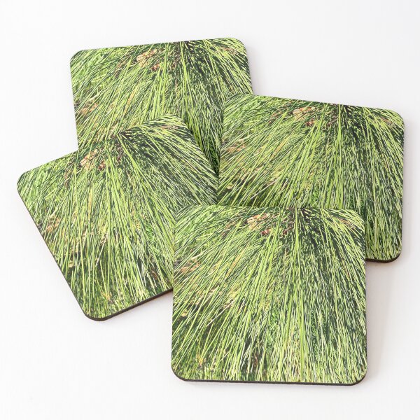 Item preview, Long Ponderosa Pine Needles designed and sold by EdenLiving.