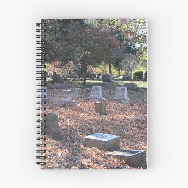 Item preview, Autumn in Historic Maple Hill Cemetery (Unedited) designed and sold by Silver Sky by Janet.