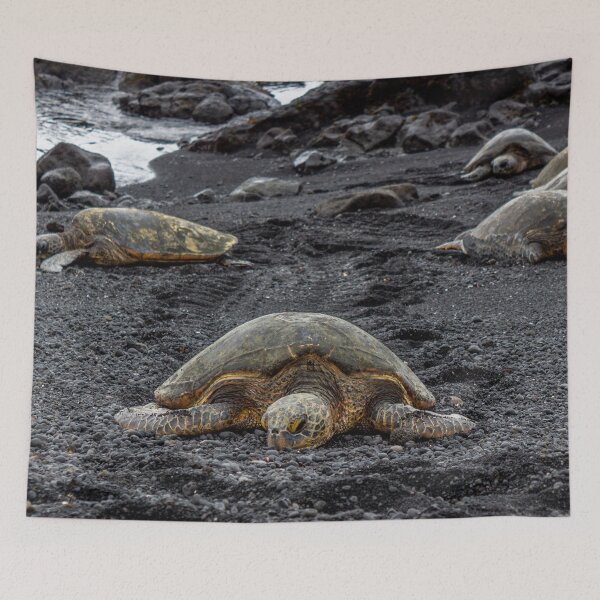 Item preview, Green Sea Turtles designed and sold by darren-j-mcleod.