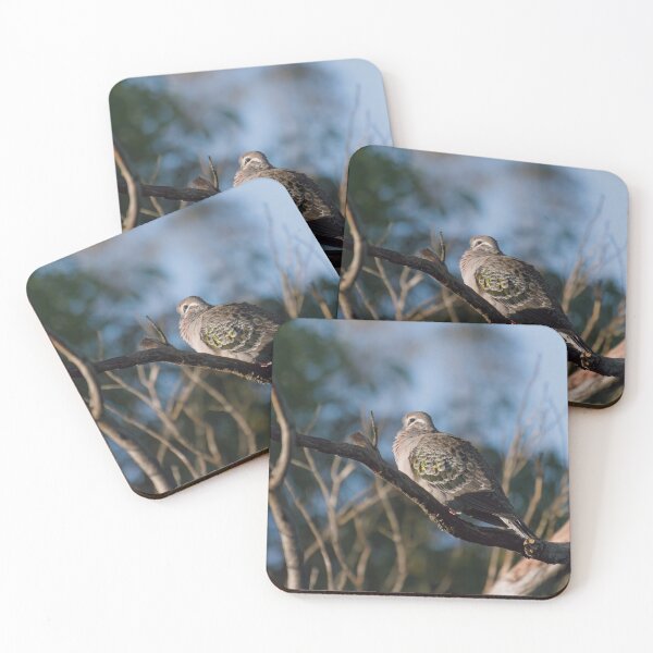 Item preview, Resting bronzewing dove in the morning designed and sold by hendrikspix.