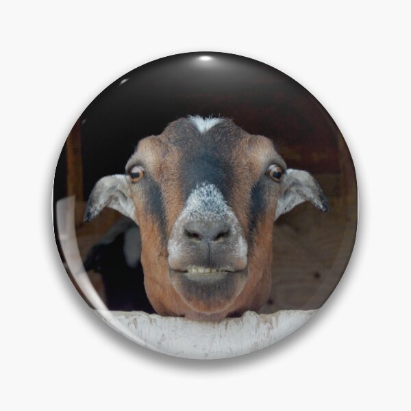 Item preview, This is my happy face funny goat designed and sold by Stephanie  Skeem.