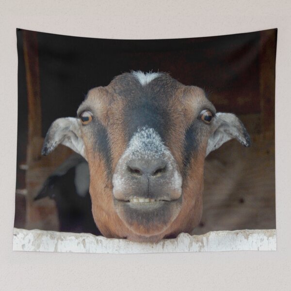 Item preview, This is my happy face funny goat designed and sold by Stephanie  Skeem.