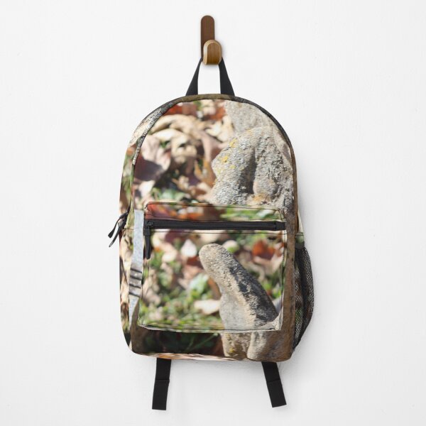 Item preview, Stone Angel in a Cemetery Surrounded by Autumn Leaves (unedited) designed and sold by Silver Sky by Janet.