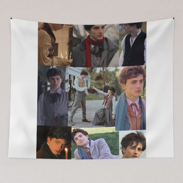 Item preview, Timotheé chalamet as Laurie designed and sold by LucidStickers.