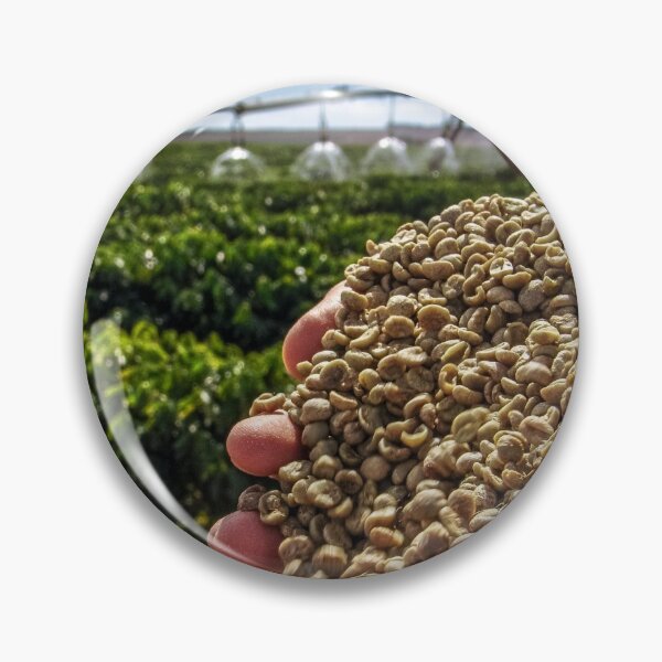 Item preview, Hands with coffee grains designed and sold by Alf Ribeiro.
