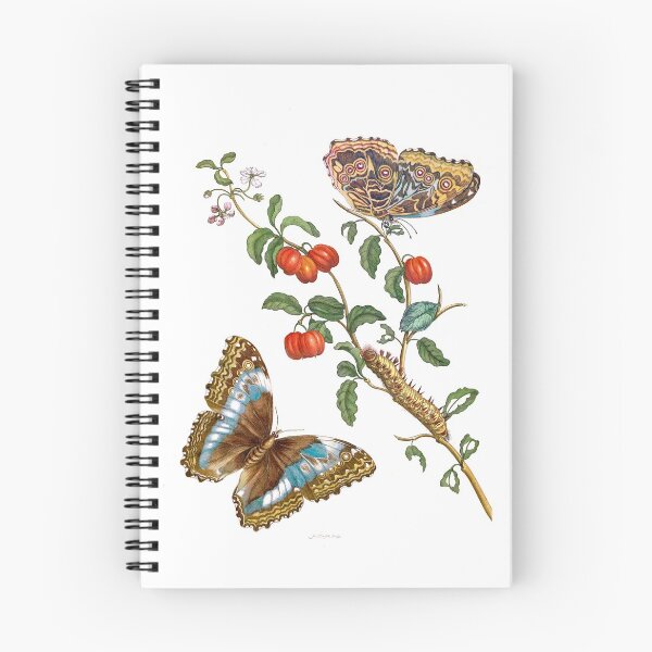 Item preview, Butterfly peacock mirror on forage plant - Maria Sibylla Merian designed and sold by 1001karte.