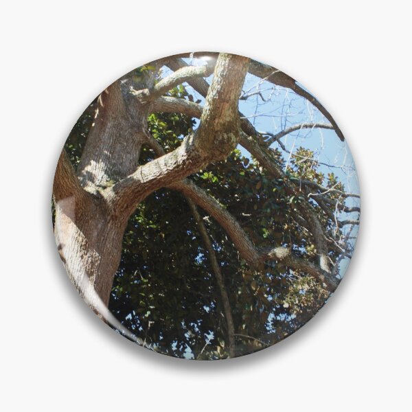 Item preview, Autumn Defying Magnolia Tree in Huntsville‘a Maple Hill Cemetery  designed and sold by Silver Sky by Janet.