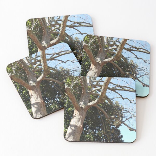 Item preview, Autumn Defying Magnolia Tree in Huntsville‘a Maple Hill Cemetery  designed and sold by Silver Sky by Janet.