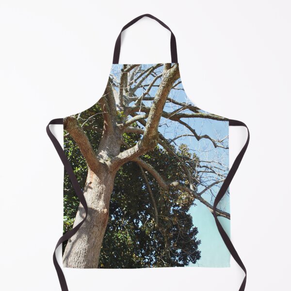 Item preview, Autumn Defying Magnolia Tree in Huntsville‘a Maple Hill Cemetery  designed and sold by Silver Sky by Janet.