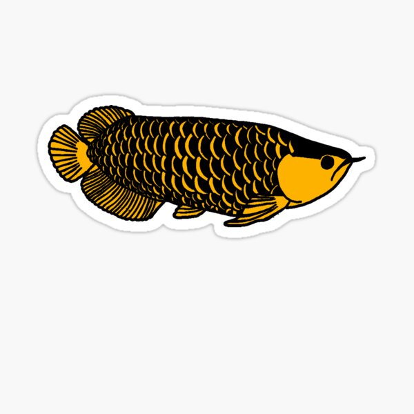 Item preview, Golden Asian Arowana  designed and sold by CaptinAubs.