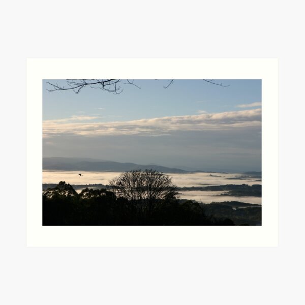 Culraven in the morning Art Print