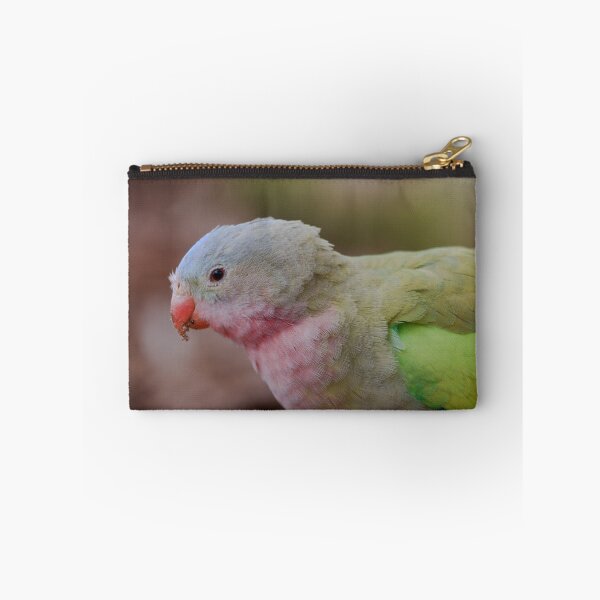 Item preview, Close up detailed photo of a princess parrot designed and sold by hendrikspix.